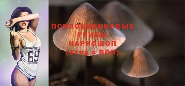 бошки Богородицк
